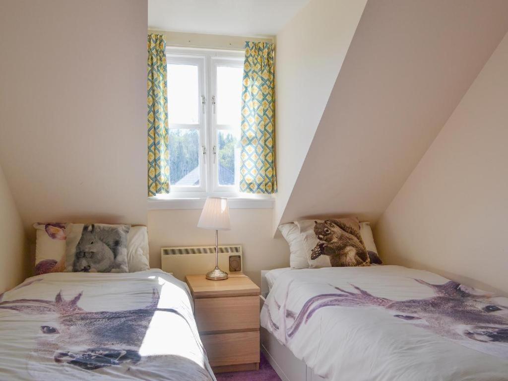 Birchlands Villa Aviemore Esterno foto